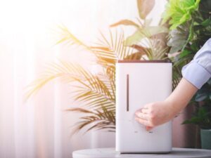 Air Purifier