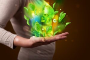 Energy Eco Green Leaf Recycle Energy Shutterstock 194651441