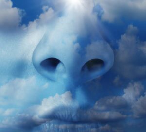 Air Quality Shutterstock 159940037