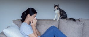 indoor allergens include from pets