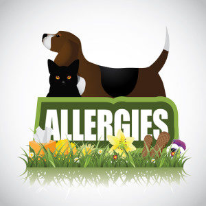 Pet Dander Allergies