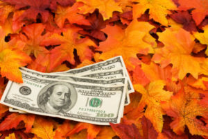 Cost Autumn Leaves And Money Shutterstock 38159113 1