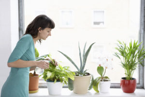 Asthma Woman Spraying Plants Shutterstock 144544280 1